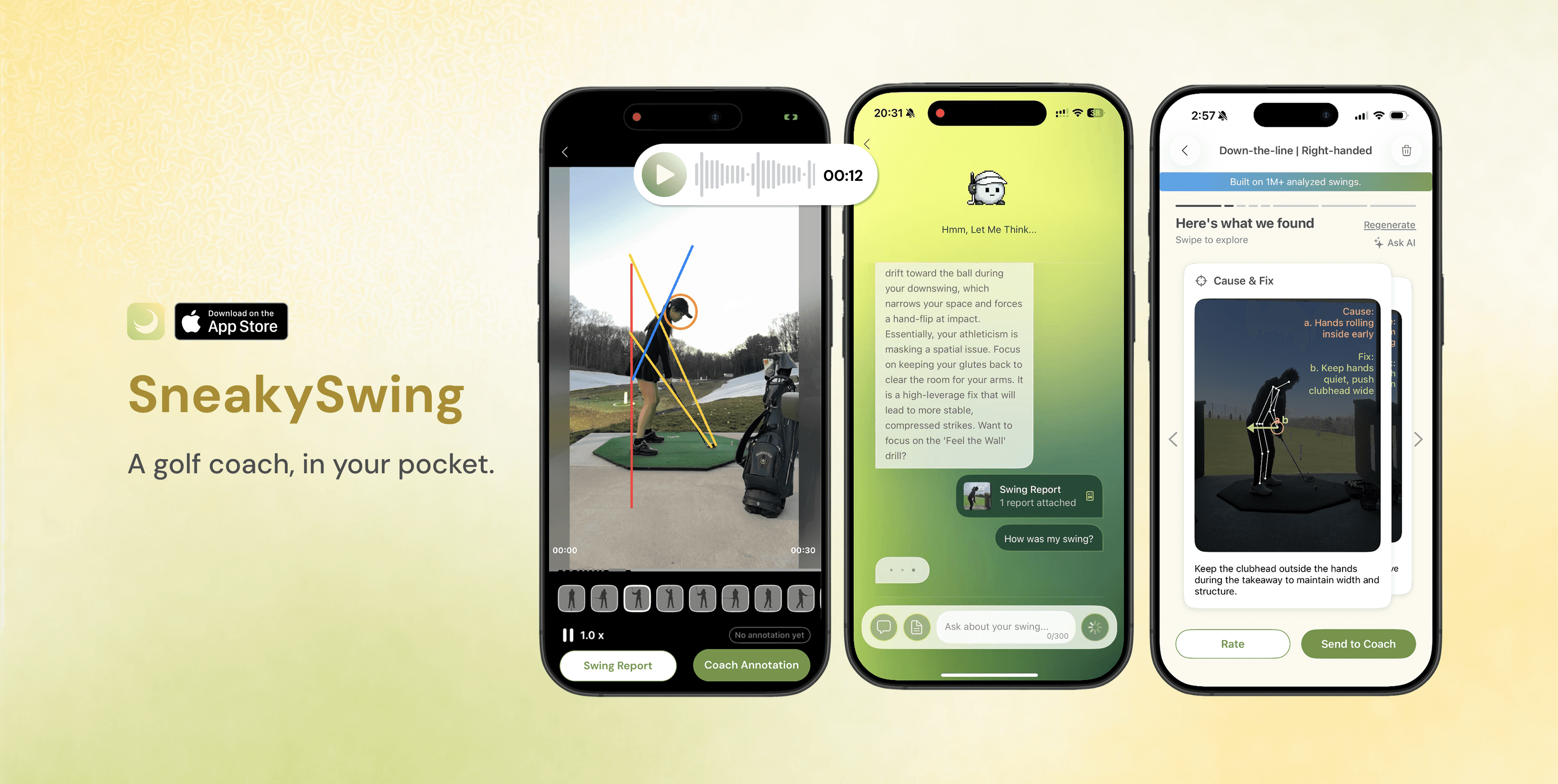SneakySwing Product Design